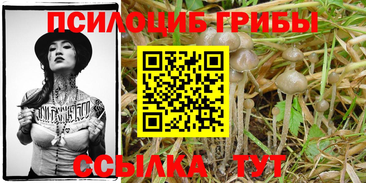 Галлюциногенные грибы ЛСД Гусь-Хрустальный
